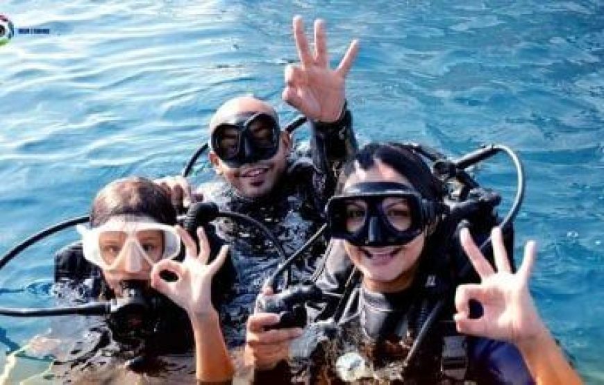 Private Boat Trip with Lunch and Drinks  ( 6 — 10 PAX)