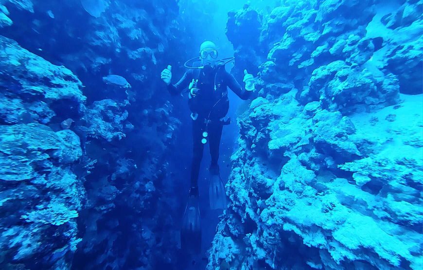 Shore Dive for non-divers