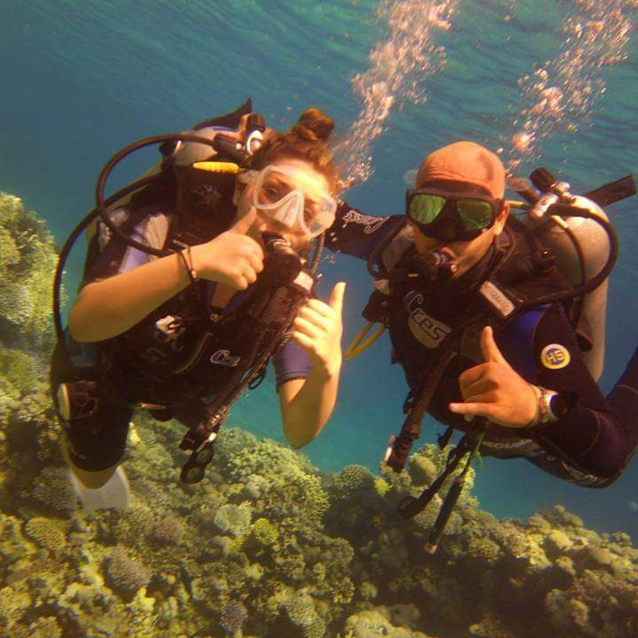 Diving Courses - Sea Collage