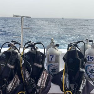 Private Boat (Snorkeling)