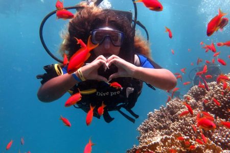 Ras Mohamed By Bus (Snorkeling)