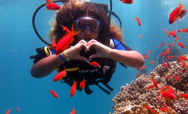 Ras Mohamed By Bus (Snorkeling)