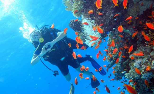 Ras Mohamed by Boat 1 intro Dive